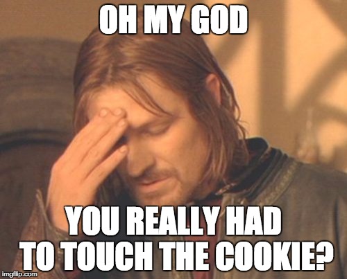 Frustrated Boromir | OH MY GOD; YOU REALLY HAD TO TOUCH THE COOKIE? | image tagged in memes,frustrated boromir | made w/ Imgflip meme maker