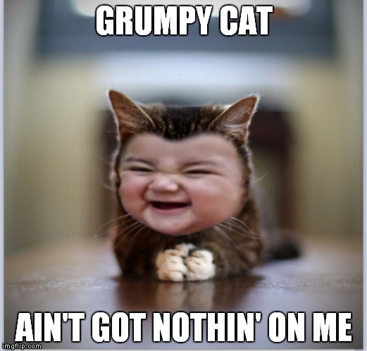 Evil toddler kitten declares war! | GRUMPY CAT; AIN'T GOT NOTHIN' ON ME | image tagged in evil toddler kitten,grumpy cat,evil toddler,kitten,meme war | made w/ Imgflip meme maker