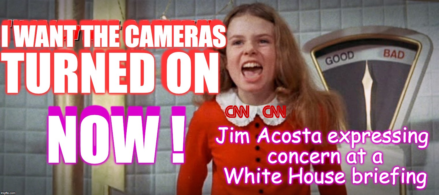Jim Acosta expressing concern at a White House briefing | image tagged in veruca salt,cnn fake news | made w/ Imgflip meme maker