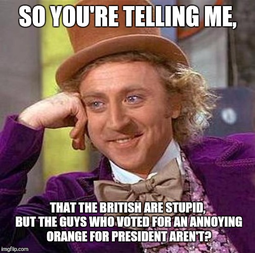 SO YOU'RE TELLING ME, THAT THE BRITISH ARE STUPID, BUT THE GUYS WHO VOTED FOR AN ANNOYING ORANGE FOR PRESIDENT AREN'T? | image tagged in memes,creepy condescending wonka | made w/ Imgflip meme maker
