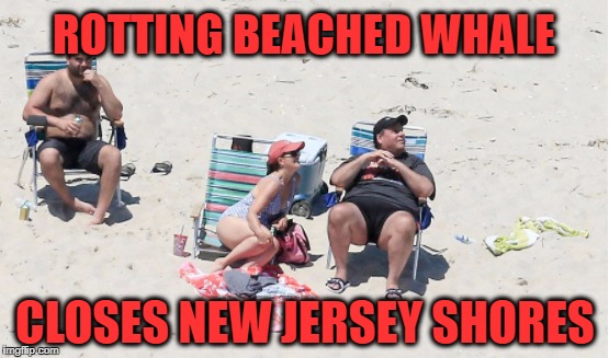 Beached Whale in New Jersey | ROTTING BEACHED WHALE; CLOSES NEW JERSEY SHORES | image tagged in chris christie | made w/ Imgflip meme maker