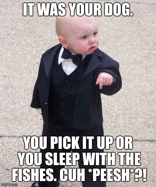 Baby Godfather doesn't play around. Get your poop scooper and plastic bag over there! :D | IT WAS YOUR DOG. YOU PICK IT UP OR YOU SLEEP WITH THE FISHES. CUH *PEESH*?! | image tagged in memes,baby godfather,funny,children,humor,child | made w/ Imgflip meme maker