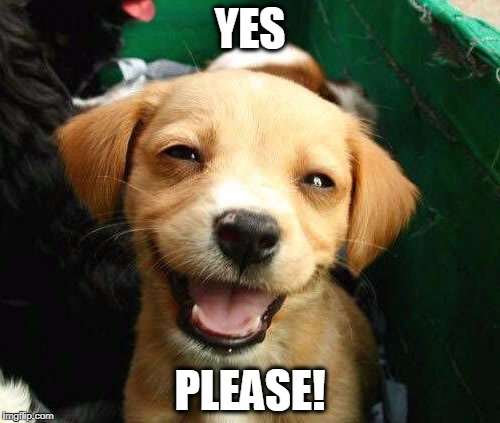 happy dog | YES; PLEASE! | image tagged in happy dog | made w/ Imgflip meme maker