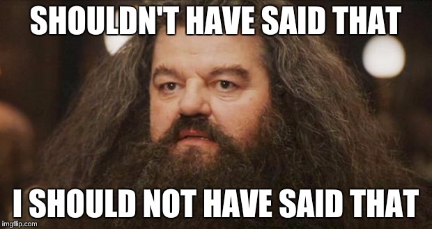 Hagrid | SHOULDN'T HAVE SAID THAT; I SHOULD NOT HAVE SAID THAT | image tagged in hagrid,AdviceAnimals | made w/ Imgflip meme maker