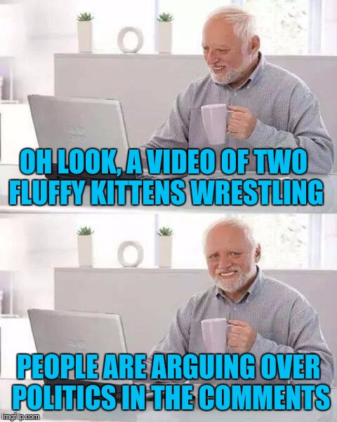 This is all Facebook is anymore and it pisses me off | OH LOOK, A VIDEO OF TWO FLUFFY KITTENS WRESTLING; PEOPLE ARE ARGUING OVER POLITICS IN THE COMMENTS | image tagged in memes,hide the pain harold,facebook,politics | made w/ Imgflip meme maker