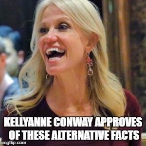KELLYANNE CONWAY APPROVES OF THESE ALTERNATIVE FACTS | image tagged in kellyanne conway alternative facts | made w/ Imgflip meme maker