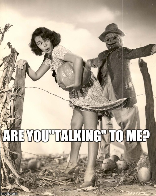 Me On A Friday | ARE YOU"TALKING" TO ME? | image tagged in memes,funny,friday,sexy,oops | made w/ Imgflip meme maker