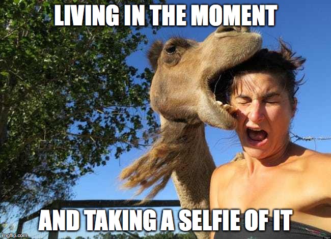 how else would we see this | LIVING IN THE MOMENT; AND TAKING A SELFIE OF IT | image tagged in meme,selfie,camel | made w/ Imgflip meme maker