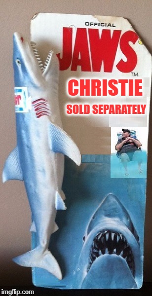 Sold Separately. | CHRISTIE; SOLD SEPARATELY | image tagged in chris christie | made w/ Imgflip meme maker