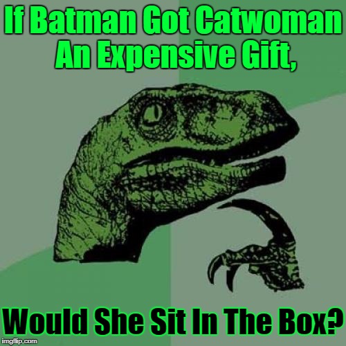 If It Fits, She Sits! ≧^◡^≦ | If Batman Got Catwoman An Expensive Gift, Would She Sit In The Box? | image tagged in memes,philosoraptor,catwoman,socrates,not stolen,original meme | made w/ Imgflip meme maker