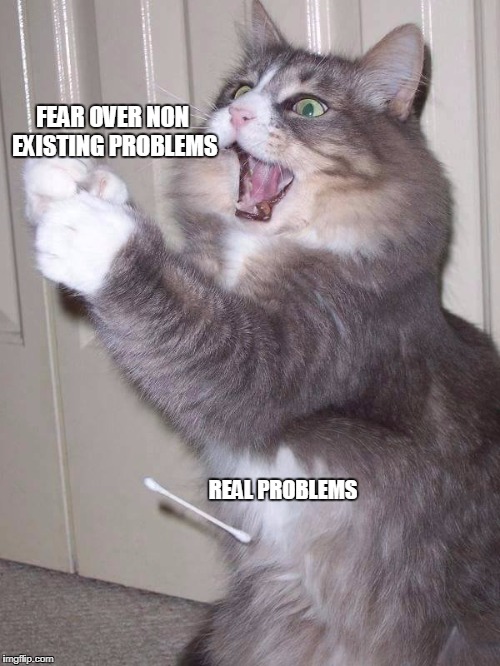 21st century | FEAR OVER NON EXISTING PROBLEMS; REAL PROBLEMS | image tagged in problems,anxiety cat,fear,existence | made w/ Imgflip meme maker