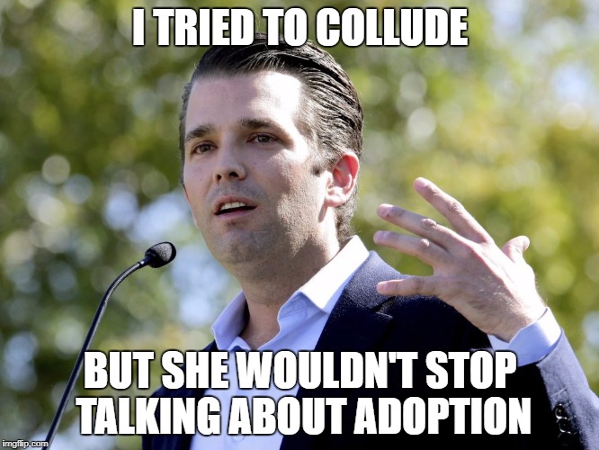 Leavenworth Bound | I TRIED TO COLLUDE; BUT SHE WOULDN'T STOP TALKING ABOUT ADOPTION | image tagged in donald trump jr,trump jr,treason,trump russia collusion | made w/ Imgflip meme maker