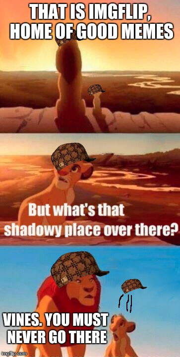 Simba Shadowy Place | THAT IS IMGFLIP, HOME OF GOOD MEMES; VINES. YOU MUST NEVER GO THERE | image tagged in memes,simba shadowy place,scumbag | made w/ Imgflip meme maker