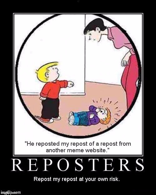 Reposters | "HE REPOSTED MY REPOST OF A REPOST FROM ANOTHER MEME WEBSITE."; REPOSTERS - REPOST MY REPOST AT YOUR OWN RISK. | image tagged in reposters,memes,original meme,not stolen,this is how you meme | made w/ Imgflip meme maker
