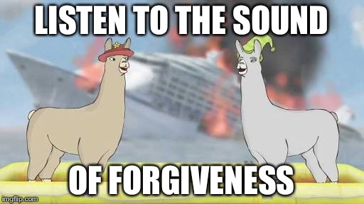 I can only hear screaming...Oh wait a second... | LISTEN TO THE SOUND; OF FORGIVENESS | image tagged in llamas with hats,the sound of forgiveness | made w/ Imgflip meme maker