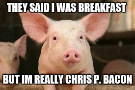 pig | THEY SAID I WAS BREAKFAST; BUT IM REALLY CHRIS P. BACON | image tagged in pig | made w/ Imgflip meme maker