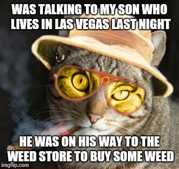 Viva Las Vegas | WAS TALKING TO MY SON WHO LIVES IN LAS VEGAS LAST NIGHT; HE WAS ON HIS WAY TO THE WEED STORE TO BUY SOME WEED | image tagged in fear and loathing in las vegas cat country,legalization,funny cat memes,meme,las vegas | made w/ Imgflip meme maker