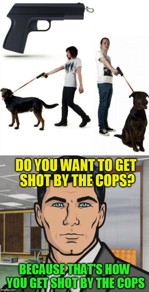 Stupid is as stupid does! | DO YOU WANT TO GET SHOT BY THE COPS? BECAUSE THAT'S HOW YOU GET SHOT BY THE COPS | image tagged in archer,memes,dogs,gun leash,wtf,stupid ideas | made w/ Imgflip meme maker