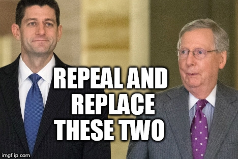 REPEAL AND REPLACE; THESE TWO | image tagged in ryan,mcconnell,gop,obamacare,donald trump approves,failed | made w/ Imgflip meme maker
