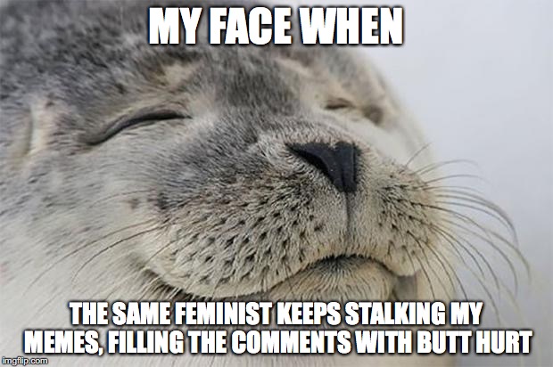 Keep commenting and I'll keep offending. I promise. | MY FACE WHEN; THE SAME FEMINIST KEEPS STALKING MY MEMES, FILLING THE COMMENTS WITH BUTT HURT | image tagged in memes,satisfied seal | made w/ Imgflip meme maker