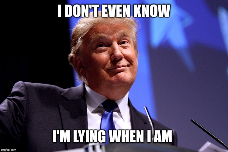 Donald Trump No2 | I DON'T EVEN KNOW; I'M LYING WHEN I AM | image tagged in donald trump no2 | made w/ Imgflip meme maker