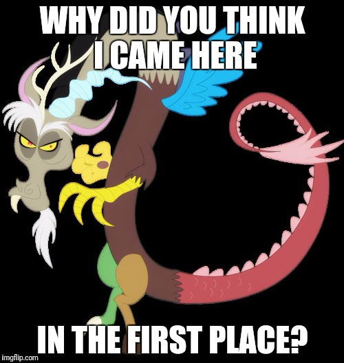 Discord planning chaos | WHY DID YOU THINK I CAME HERE IN THE FIRST PLACE? | image tagged in discord planning chaos | made w/ Imgflip meme maker