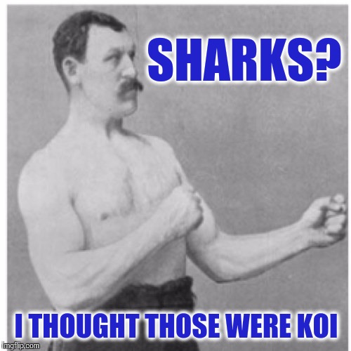 Overly Manly Man, Shark Week Edition | SHARKS? I THOUGHT THOSE WERE KOI | image tagged in memes,overly manly man,shark,shark week,hyperdimension neptunia | made w/ Imgflip meme maker
