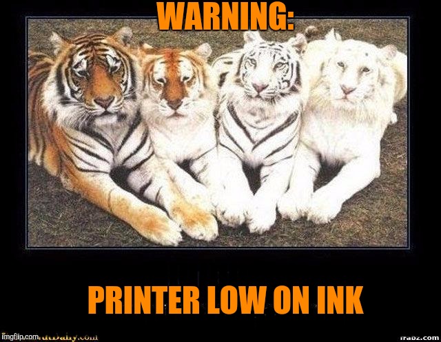 Warning: printer low on ink. Tiger Week, a TigerLegend1046 event | WARNING:; IIIIIIIIIIIIIIIII; IIIIIIIIIIIIIIIIIIIIIIIIIIIIIIIIIIIIIIIIII; PRINTER LOW ON INK | image tagged in memes,tiger week,tigerlegend1046,printer,low on ink,animals | made w/ Imgflip meme maker