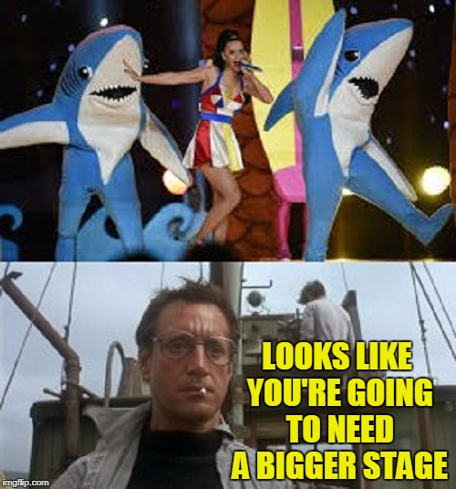 the one on the left is a killer (Shark Week - a Raydog event) | LOOKS LIKE YOU'RE GOING TO NEED A BIGGER STAGE | image tagged in memes,shark week,left shark,sharks,katy perry,jaws | made w/ Imgflip meme maker