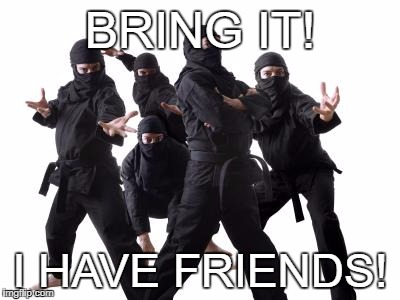 NINJAS | BRING IT! I HAVE FRIENDS! | image tagged in ninjas | made w/ Imgflip meme maker