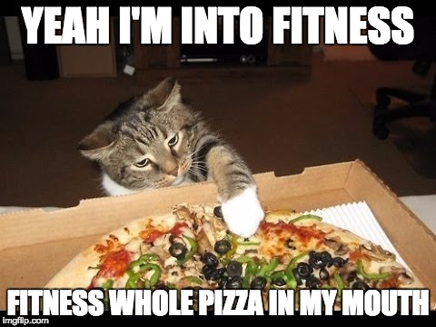 Pizza cat | YEAH I'M INTO FITNESS; FITNESS WHOLE PIZZA IN MY MOUTH | image tagged in pizza cat | made w/ Imgflip meme maker