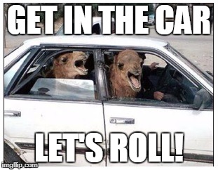 GET IN THE CAR; LET'S ROLL! | image tagged in camel,driving,hump day | made w/ Imgflip meme maker