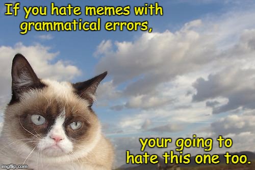 Grumpy Grammar  | If you hate memes with grammatical errors, your going to hate this one too. | image tagged in memes,grumpy cat sky,grumpy cat | made w/ Imgflip meme maker