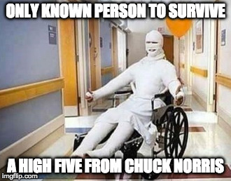 Worth it. | ONLY KNOWN PERSON TO SURVIVE; A HIGH FIVE FROM CHUCK NORRIS | image tagged in chuck norris,high five,iwanttobebacon,iwanttobebaconcom | made w/ Imgflip meme maker