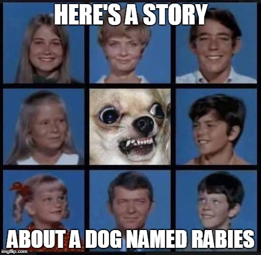 mad chihuahua | HERE'S A STORY; ABOUT A DOG NAMED RABIES | image tagged in chihuahua | made w/ Imgflip meme maker