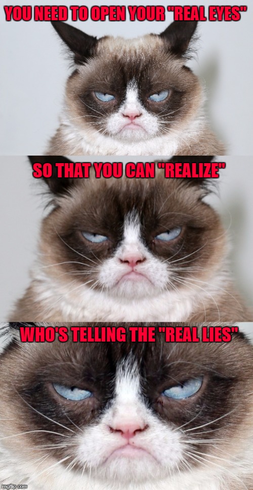 It's getting really hard to know what's real and what's fake anymore... | YOU NEED TO OPEN YOUR "REAL EYES"; SO THAT YOU CAN "REALIZE"; WHO'S TELLING THE "REAL LIES" | image tagged in grumpy cat,memes,lies,truth,cats,fake news | made w/ Imgflip meme maker