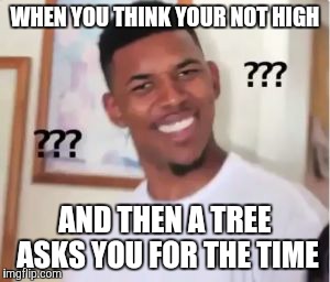 Nick Young | WHEN YOU THINK YOUR NOT HIGH; AND THEN A TREE ASKS YOU FOR THE TIME | image tagged in nick young | made w/ Imgflip meme maker