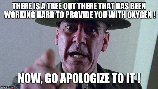 You should apologize | THERE IS A TREE OUT THERE THAT HAS BEEN WORKING HARD TO PROVIDE YOU WITH OXYGEN ! NOW, GO APOLOGIZE TO IT ! | image tagged in memes,apology,drill instructor,trees | made w/ Imgflip meme maker