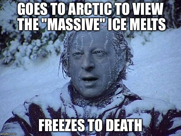 Polar ice caps are expanding  | GOES TO ARCTIC TO VIEW THE "MASSIVE" ICE MELTS; FREEZES TO DEATH | image tagged in frozen al gore | made w/ Imgflip meme maker