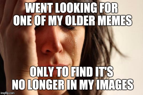 Anybody able to explain this to me? | WENT LOOKING FOR ONE OF MY OLDER MEMES; ONLY TO FIND IT'S NO LONGER IN MY IMAGES | image tagged in memes,first world problems,lost memes | made w/ Imgflip meme maker