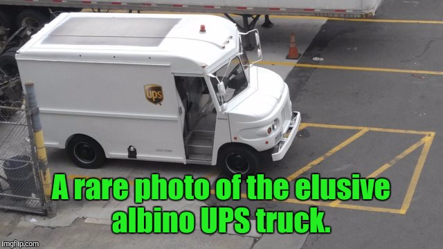 The white UPS truck actually takes packages off your porch.  | A rare photo of the elusive albino UPS truck. | image tagged in funny,white,ups truck | made w/ Imgflip meme maker