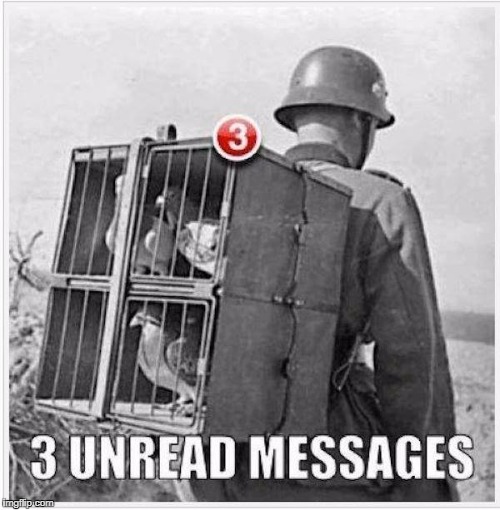 pigeonmail | image tagged in funny,funny memes,funny animals | made w/ Imgflip meme maker