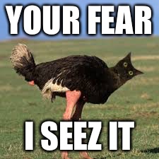 Run | YOUR FEAR; I SEEZ IT | image tagged in catstich,oh hai,oh hell no,catslovers,ostrich,has science gone too far | made w/ Imgflip meme maker
