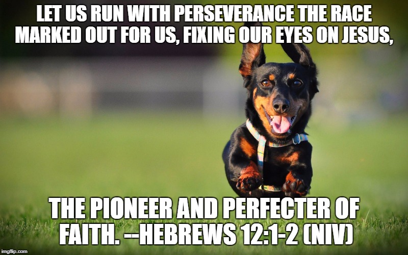 Dog Running | LET US RUN WITH PERSEVERANCE THE RACE MARKED OUT FOR US, FIXING OUR EYES ON JESUS, THE PIONEER AND PERFECTER OF FAITH.
--HEBREWS 12:1-2 (NIV) | image tagged in dog running | made w/ Imgflip meme maker