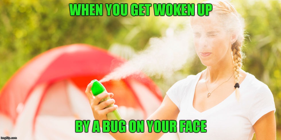 What I woke up to the other night, thought I would never get back to sleep.. | WHEN YOU GET WOKEN UP; BY A BUG ON YOUR FACE | image tagged in bugs,face,sleep,nope | made w/ Imgflip meme maker
