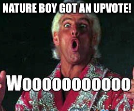 I "Figure Four" Upvotes Should Be Enough... | NATURE BOY GOT AN UPVOTE! | image tagged in memes,ric flair,nature boy,imgflip,upvote | made w/ Imgflip meme maker