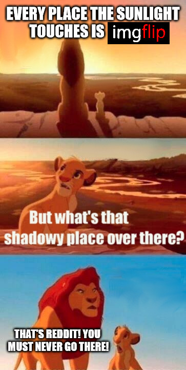 if you've been there you will understand | EVERY PLACE THE SUNLIGHT TOUCHES IS; THAT'S REDDIT! YOU MUST NEVER GO THERE! | image tagged in memes,simba shadowy place,imgflip,reddit | made w/ Imgflip meme maker