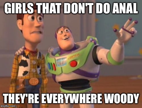 GIRLS THAT DON'T DO ANAL THEY'RE EVERYWHERE WOODY | image tagged in memes,x x everywhere | made w/ Imgflip meme maker