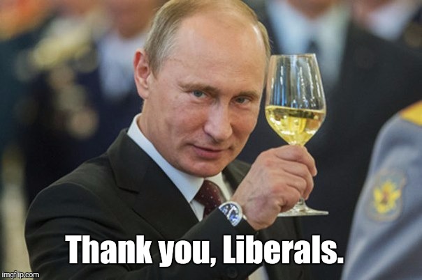Thank you, Liberals. | made w/ Imgflip meme maker