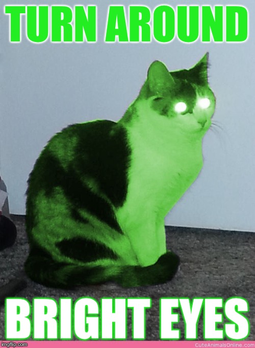 Hypno Raycat | TURN AROUND BRIGHT EYES | image tagged in hypno raycat | made w/ Imgflip meme maker
